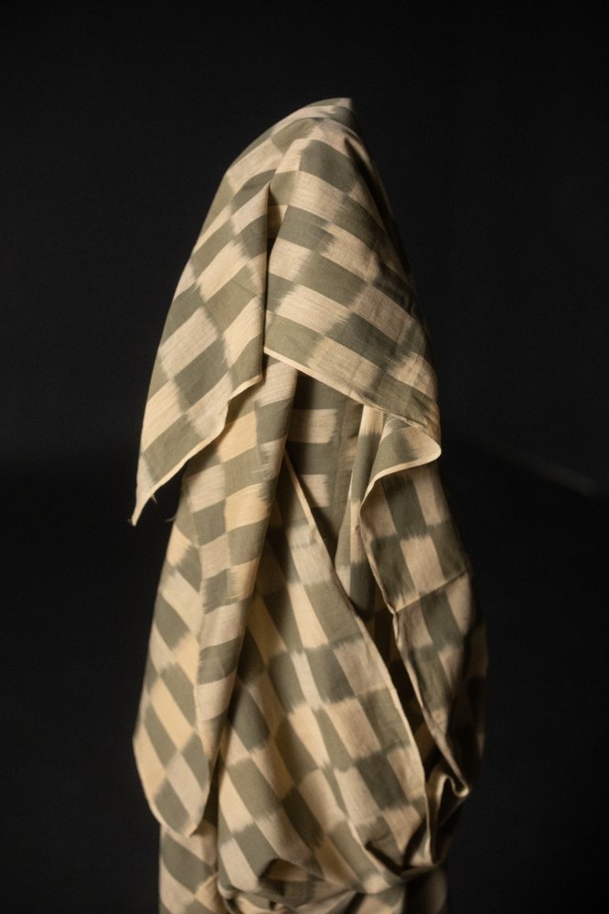 Indian Ikat Cotton - Firle