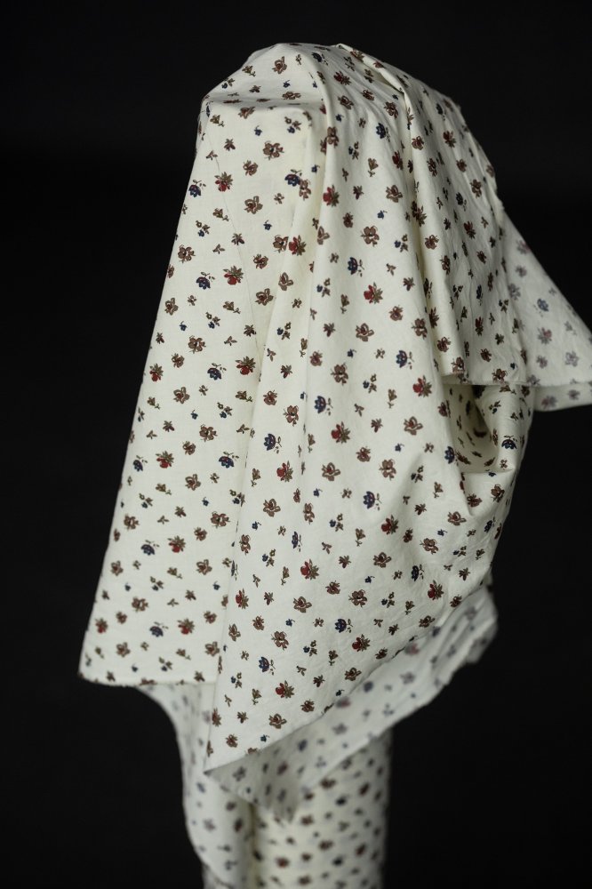 Japanese Cotton - Buttermilk Sakura