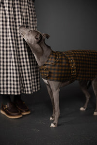 Gingham Organic Cotton Oilskin - Founding Red