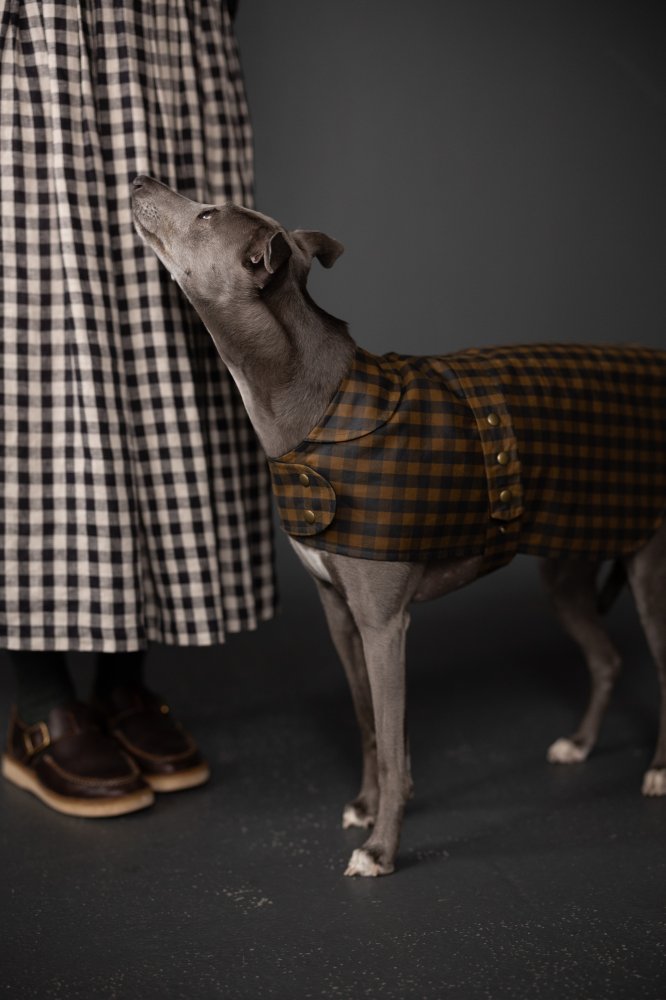 Gingham Organic Cotton Oilskin - Deep Ocean