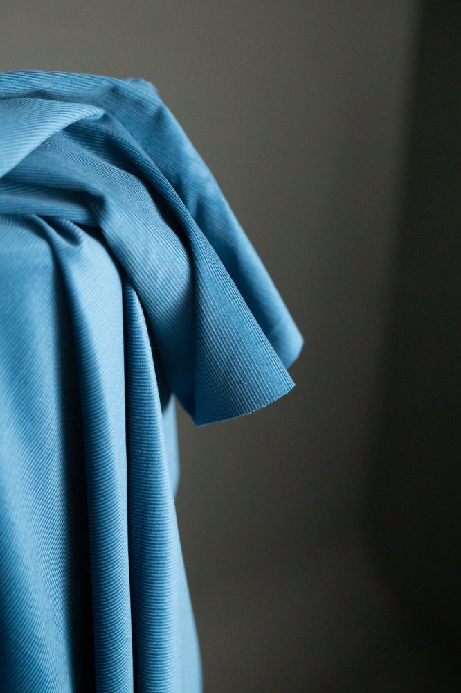 Remnant (Marine 14 Wale Cotton Corduroy)