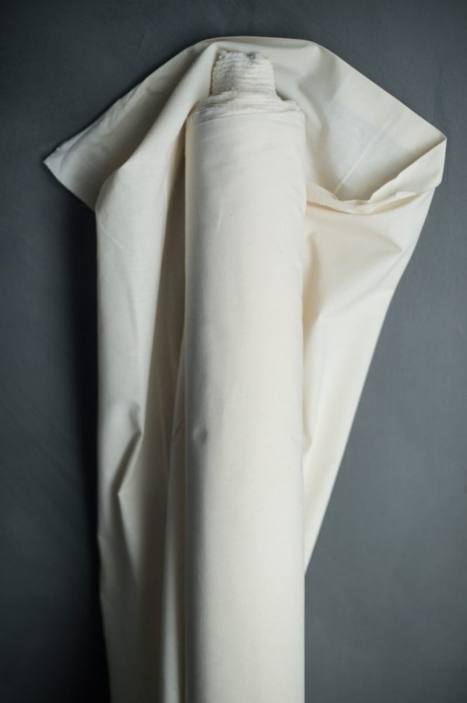 Remnant (Calico)