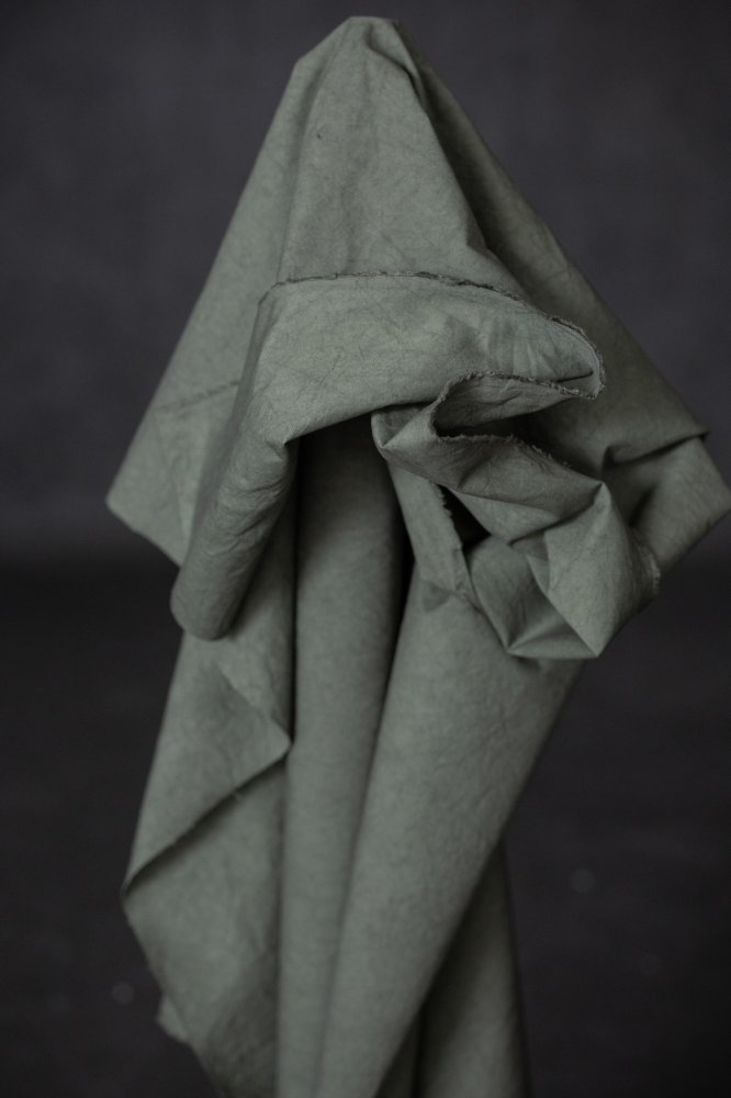 Remnant (Cold Forest Japanese Washed Cotton Twill)