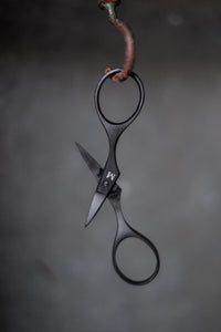 Baby Bow