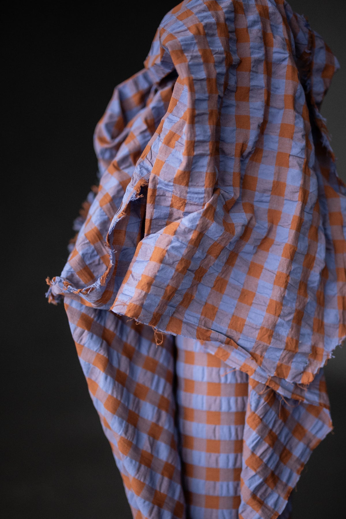 Organic Cotton Gingham Seersucker - Autumn Pony