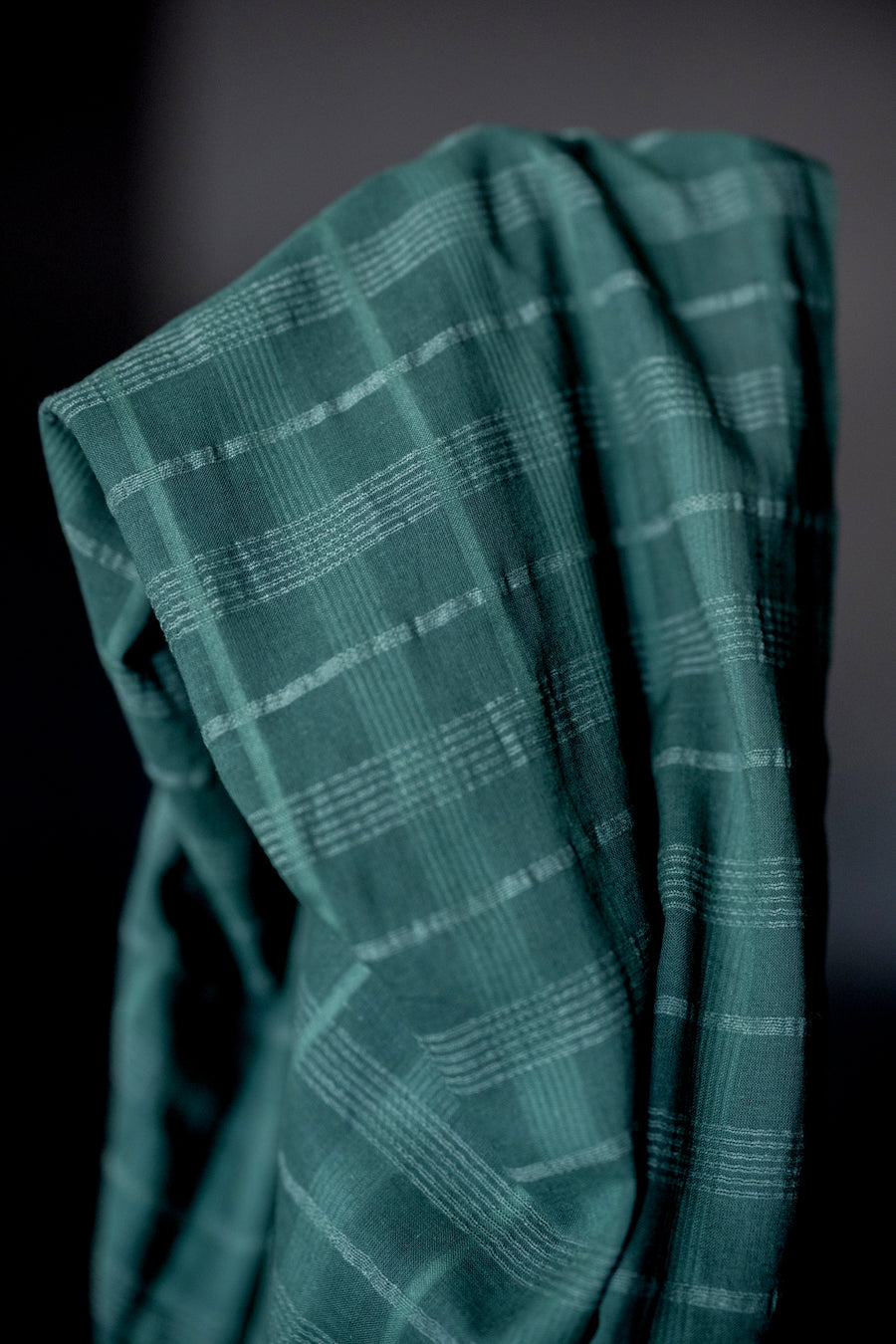 Remnant (Indian Cotton Elm)