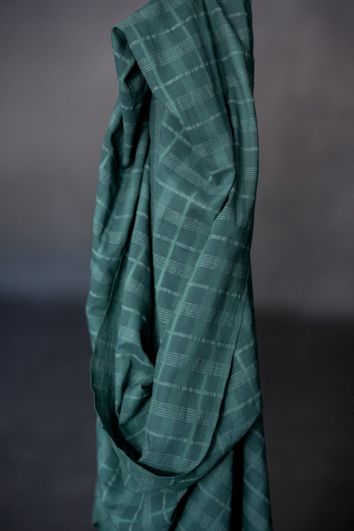 Remnant (Indian Cotton Elm)
