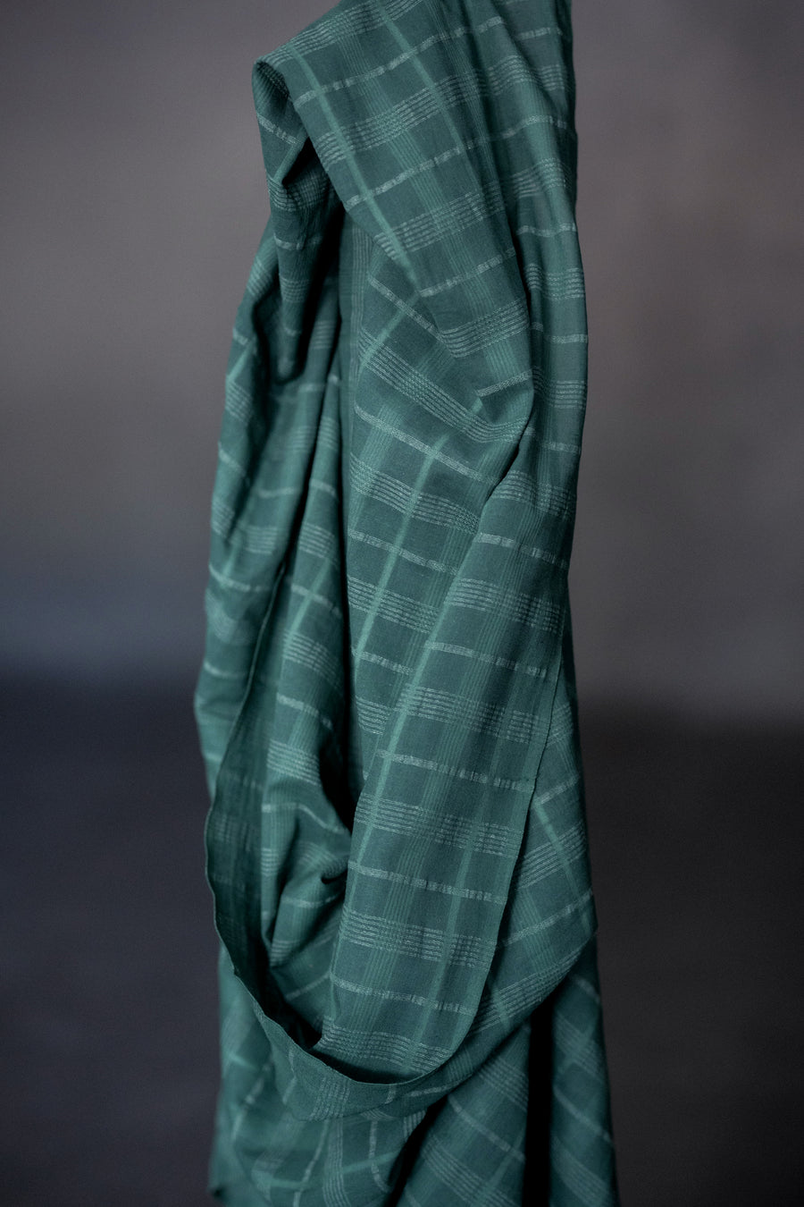 Remnant (Indian Cotton Elm)