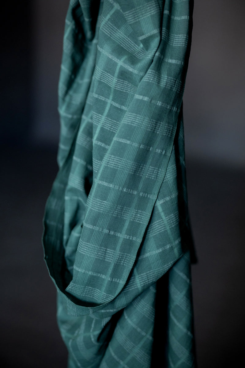 Remnant (Indian Cotton Elm)