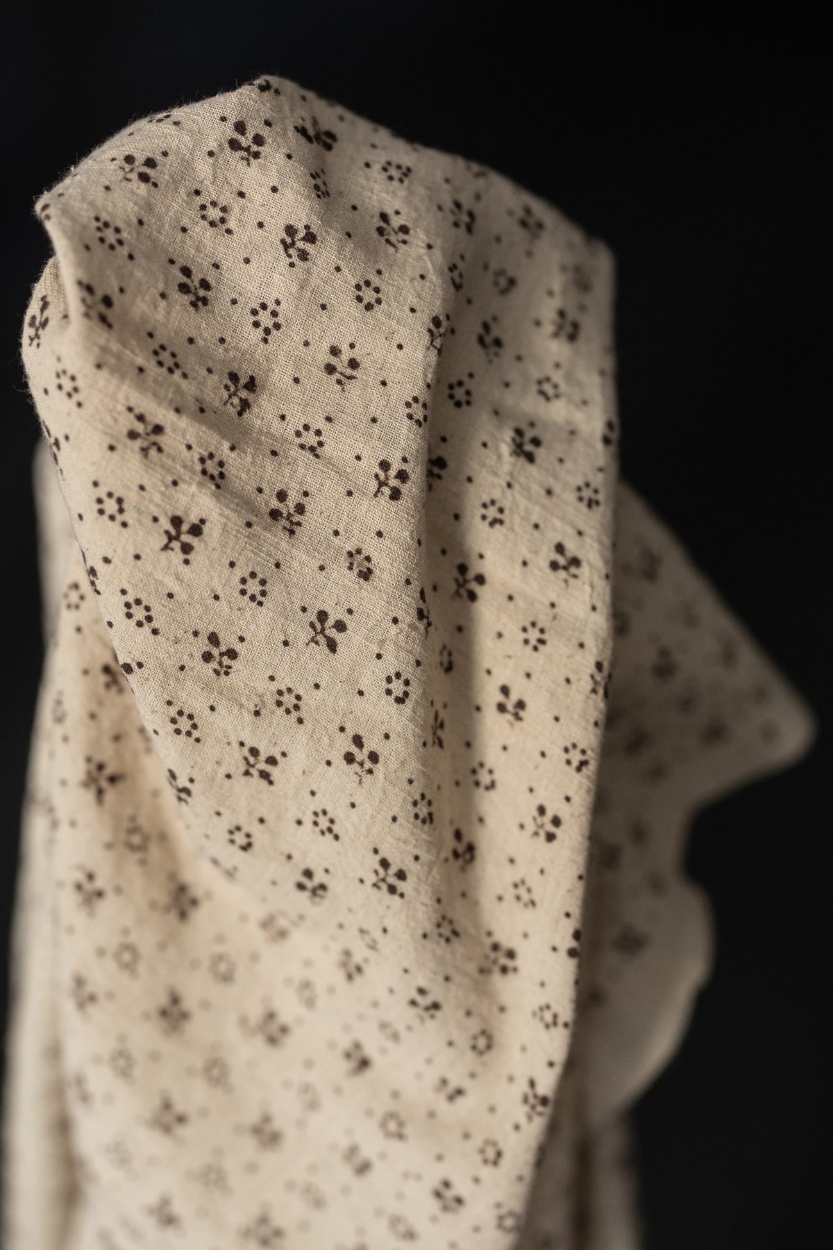 Indian Block Print Cotton - Seedling
