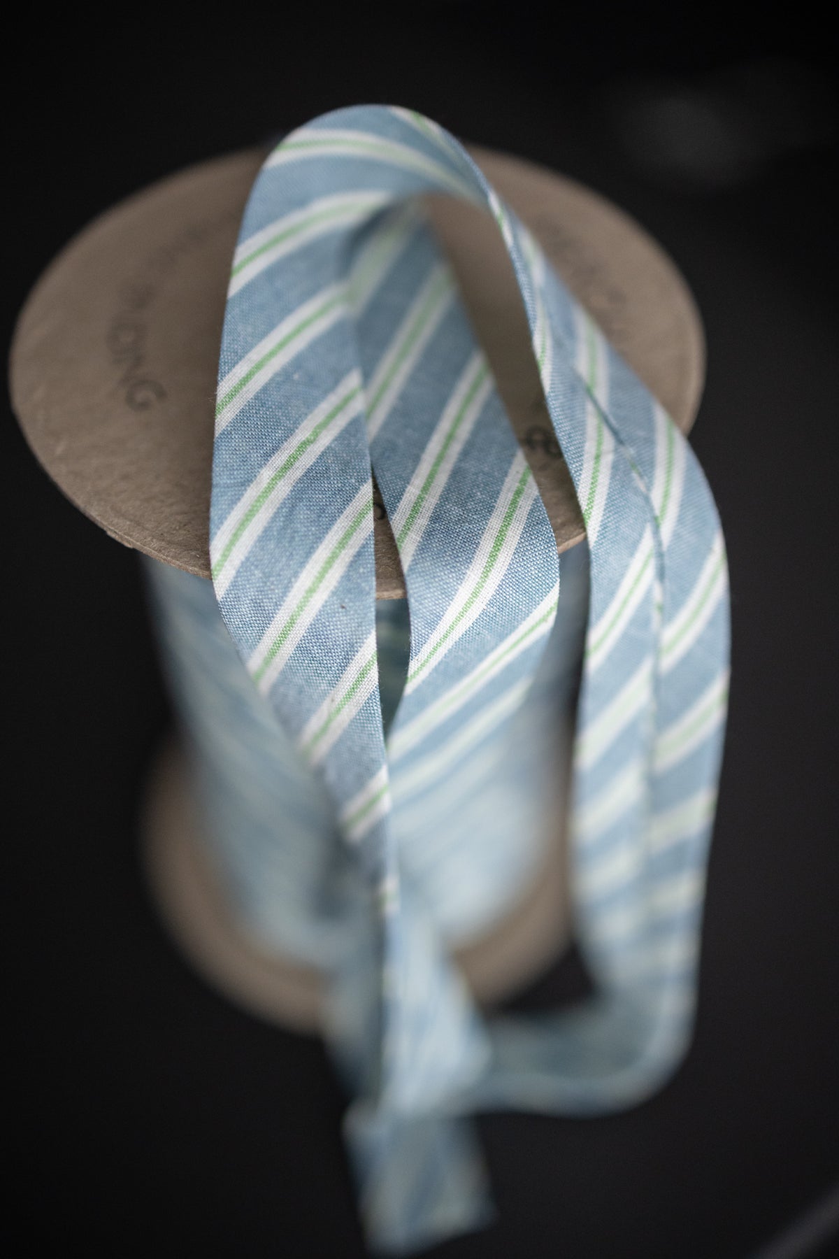 Bias Binding Wild Mint